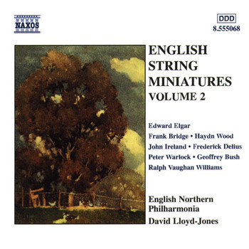 David Lloyd-Jones - English String Miniatures, Vol. 2