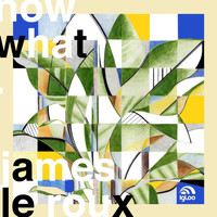 James Le Roux - Now What?
