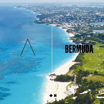 Shiraz Javed - Bermuda