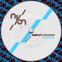 Leonardus - Hummingbird