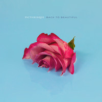 Picturesque - Back to Beautiful