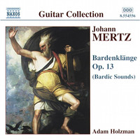 Adam Holzman - Mertz: Bardenklange, Op. 13