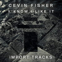 Cevin Fisher - Y'Know I Like It