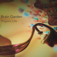 Brain Garden - Organic Life