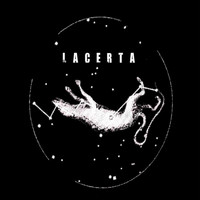 Lacerta - Let You Down