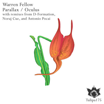 Warren Fellow - Parallax / Oculus