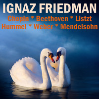 Ignaz Friedman - Chopin, Beethoven, Liszt, Hummel, Weber & Mendelssohn