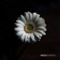 Piezo - Gerbera - EP