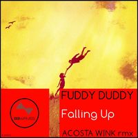 Fuddy Duddy - Falling Up