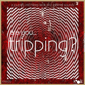 Various Artists - Are You... Tripping? Vol. 3