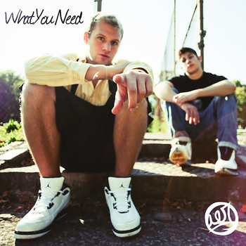 Aer - What You Need EP (Explicit)