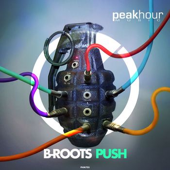 B-Roots - Push