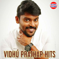 Vidhu Prathap - Vidhu Prathap Hits