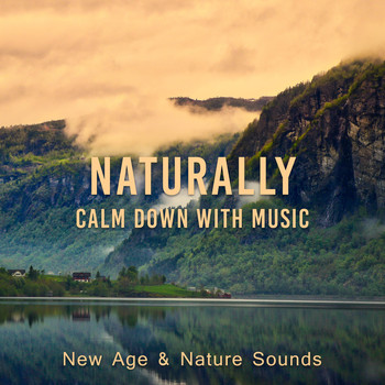 Various Artists - Naturally Calm Down with Music