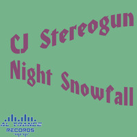Cj Stereogun - Night Snowfall