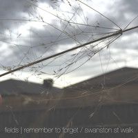 Fields - remember to forget / swanston st. walk