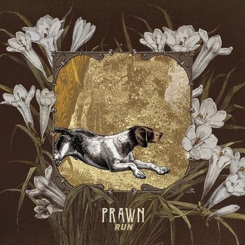 Prawn - Rooftops