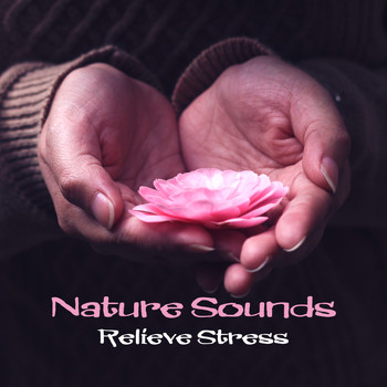 Nature Sounds - Nature Sounds Relieve Stress – Healing Music, Spa Dreams, Deep Massage, Relaxation, Soft Spa Music to Calm Down, Zen, Pure Rest