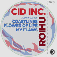 Cid Inc. - Roihu