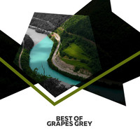 Grapes Grey - Best Of