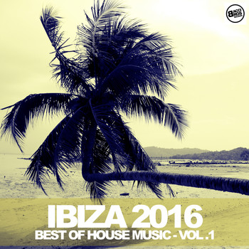 Various Artists - Ibiza 2016 - Best of House Music Vol. 1
