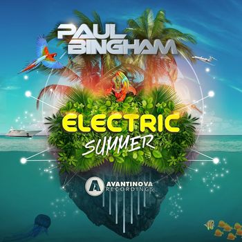 Paul Bingham - Electric Summer