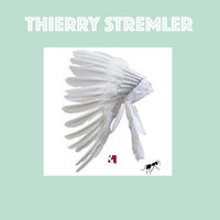 Thierry Stremler - Les indiens et les fourmis