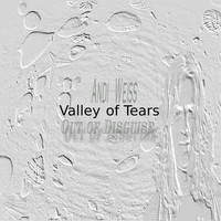 Andi Weiss - Valley of Tears
