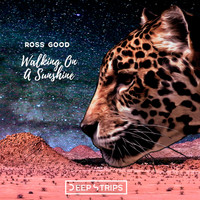 Ross Good - Walking On A Sunshine