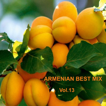 Various Artists - Armenian Best Mix, Vol. 13