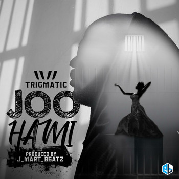 Trigmatic - Joo Hami