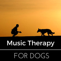 Pet Care Relaxing Companion - Music Therapy for Dogs, Pet Relaxation Sleep Aids, Stress Relief for Dogs and Cats, Complete Serenity