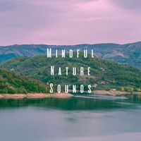 Rain Sounds Nature Collection, White! Noise and Rainfall - Mindful Nature Sounds