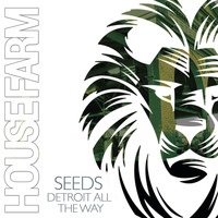 Seeds - Detroit All the Way