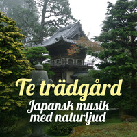 Buddha Musik Fristad - Te trädgård