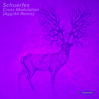 Schuerfes - Cross Modulation (Agg/A4 Remix0
