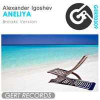 Alexander Igoshev - Aneliya (Breaks Version)