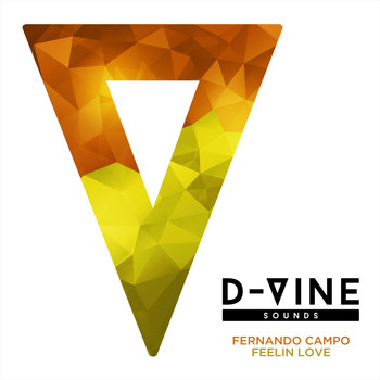 Fernando Campo - Feelin Love