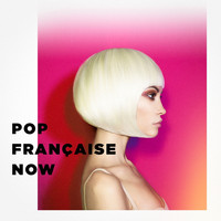 Variété Française, 50 Tubes Du Top, Chansons françaises - Pop Française Now (Top tubes de la radio)
