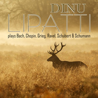 Dinu Lipatti - Dinu Lipatti Plays Bach, Chopin, Grieg, Ravel, Schubert & Schumann