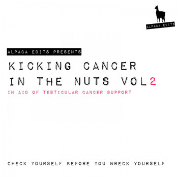 Various Artists - Kicking Cancer in the Nuts, Vol. 2