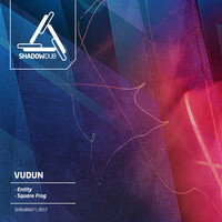 Vudun - Entity / Square Frog