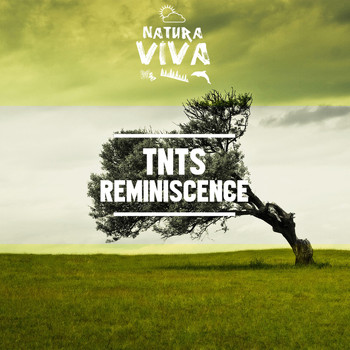 TNTS - Reminiscence