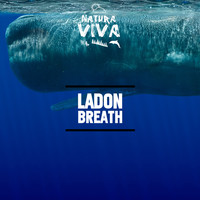 Ladon - Breath