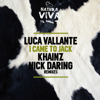 Luca Vallante - I Came to Jack