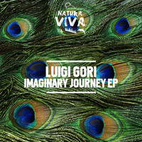 Luigi Gori - Imaginary Journey