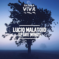 Lucio Malatoid - Spare Wings
