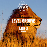 Level Groove - Get Back