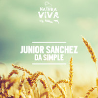 Junior Sanchez - Da Simple