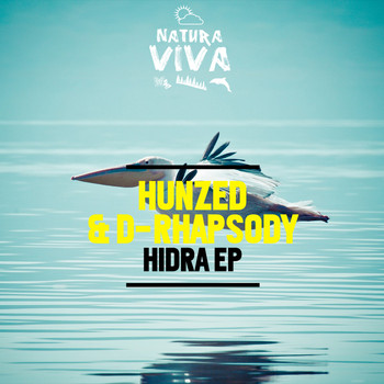 Hunzed & D-Rhapsody - Hidra